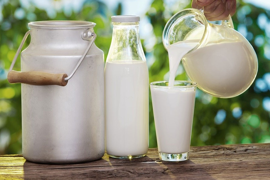 شیر پرچرب و کمچرب چگونه تولید میشود؟ شیر پرچرب و کمچرب چگونه تولید میشود؟