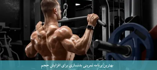 بهترین برنامه تمرینی بدنسازی برای افزایش حجم عضلانی: راهنمای کامل برای عضلهسازی اصولی و سریع بهترین برنامه تمرینی بدنسازی برای افزایش حجم عضلانی: راهنمای کامل برای عضلهسازی اصولی و سریع